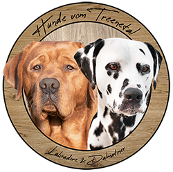 Hunde vom Treenetal Logo