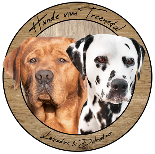 Logo der Hunde vom Treenetal