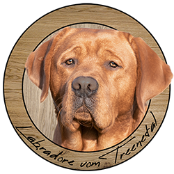 Hunde vom Treenetal Logo